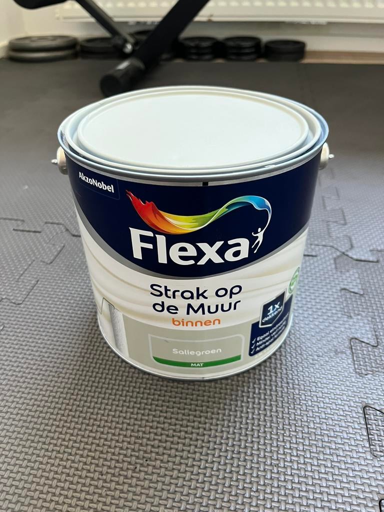Flexa strak op de muur saliegroen, Ophalen, Zo goed als nieuw