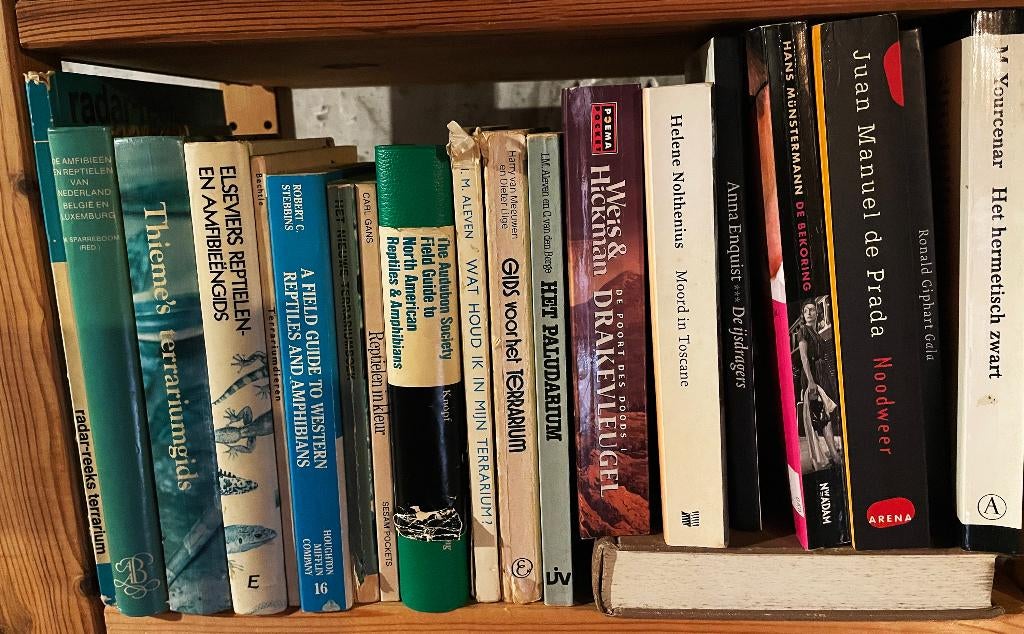 Koffertje vullen met ned. of engelse boeken naar keuze., Ophalen, Gelezen