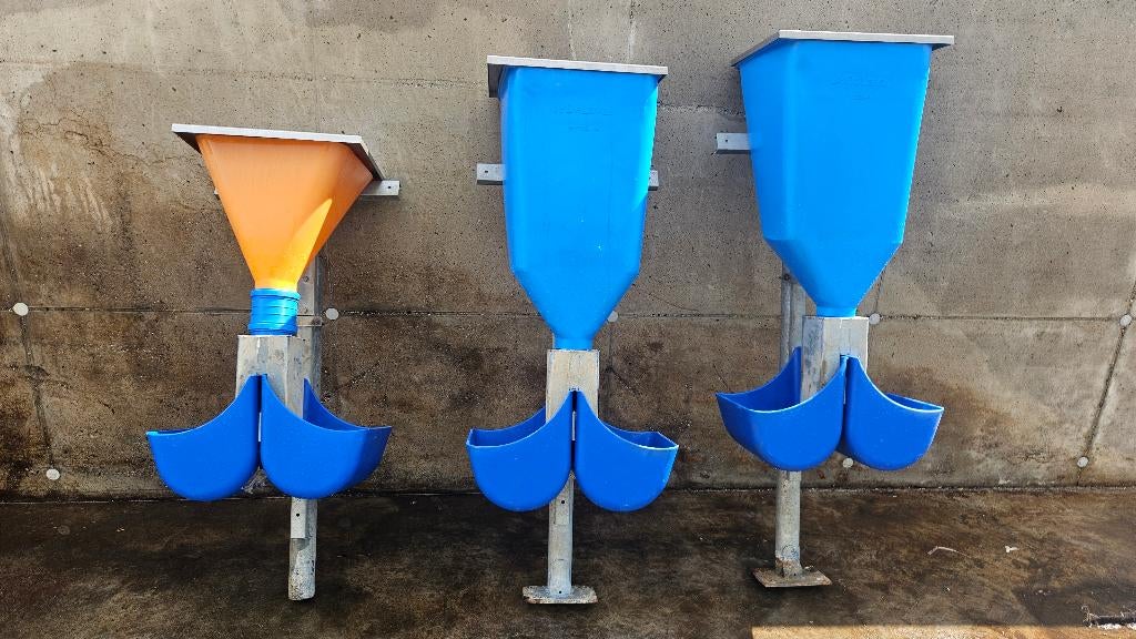 Ad lib krachtvoer bakken jongvee, Ophalen, Veehouderij, Stalinrichting