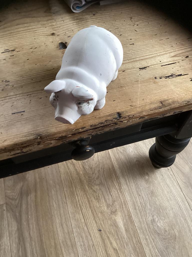 Varken, Ophalen of Verzenden, Zo goed als nieuw, Dier