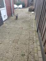 Tegels, Ophalen, Gebruikt, 10 m² of meer, Beton