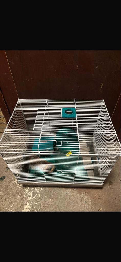 Hamsterkooi te koop – compleet met accessoires, Dieren en Toebehoren, Knaagdieren en Konijnen | Hokken en Kooien, Ophalen, 90 cm of meer