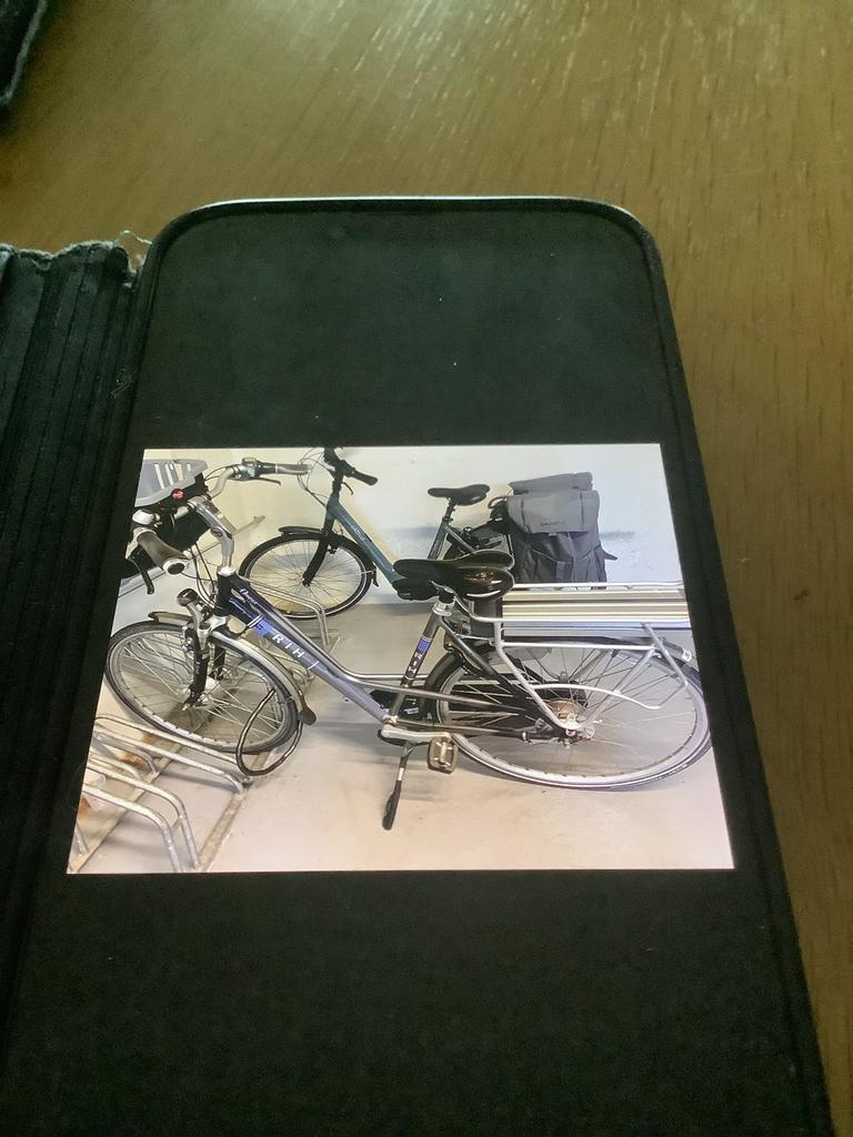 RIH Omega Elektrische Fiets - Comfortabel & Betrouwbaar, Fietsen en Brommers, Elektrische fietsen, Gebruikt, Overige merken, 51 tot 55 cm