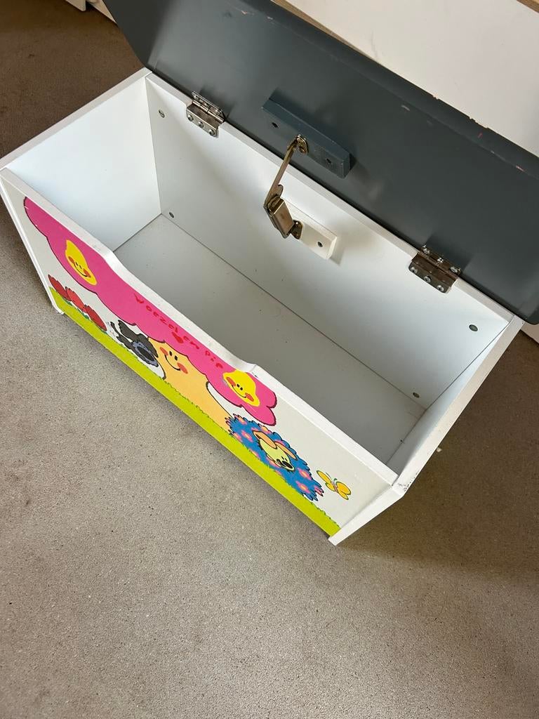 Opberg kistje, Huis en Inrichting, Woonaccessoires | Kisten, Ophalen of Verzenden, Gebruikt, Minder dan 50 cm