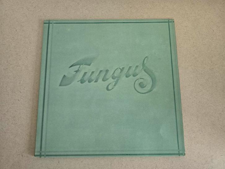 Fungus - Fungus NR102 (1974 gatefold LP), Cd's en Dvd's, Vinyl | Overige Vinyl, Zo goed als nieuw, 12 inch, Ophalen of Verzenden