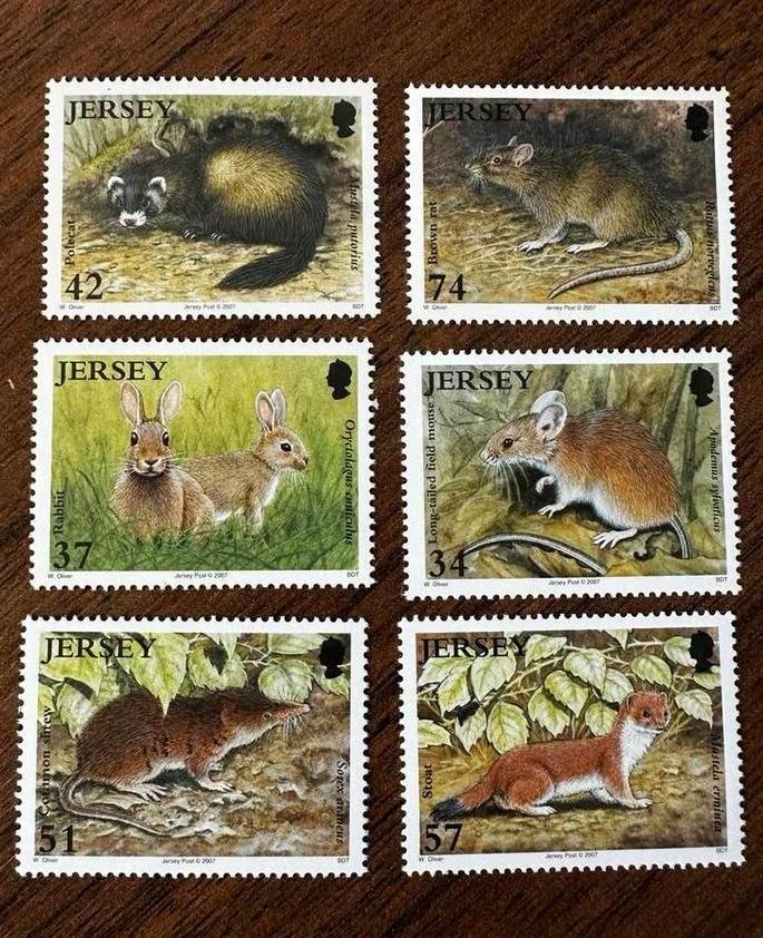 Jersey 2007 dieren marter haas muis postfris, Ophalen of Verzenden, Postfris