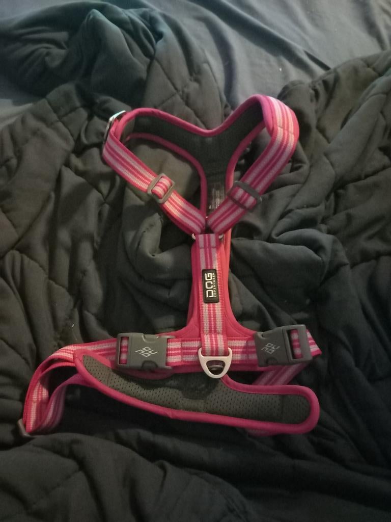 Xl dog Copenhagen roze, Verzenden