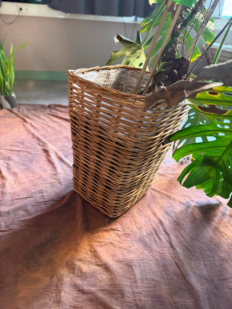 Grote rieten bloempot/plantenbak, 60 cm hoog INC Monstera, Tuin en Terras, Bloempotten, Overige materialen, Gebruikt, Binnen, Overige vormen