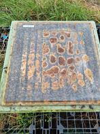 Buckfast bijenvolken, Bijen