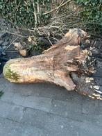 Gratis boomstronk, Tuin en Terras, Haardhout, Minder dan 3 m³, Ophalen, Eikenhout, Stammen