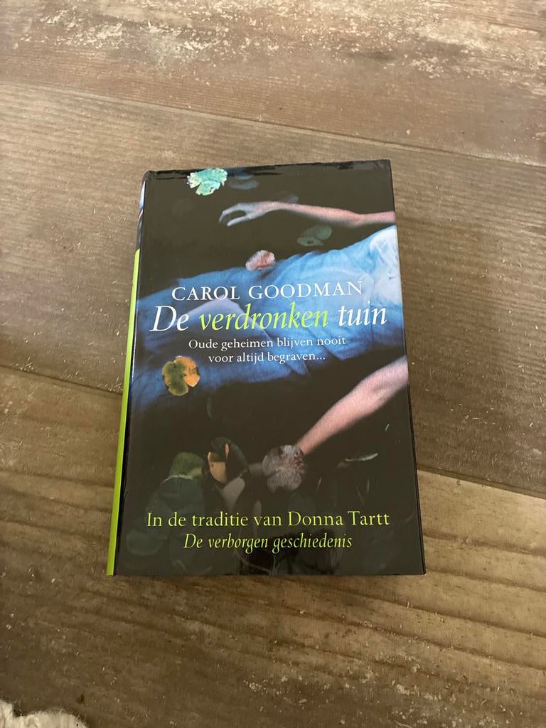 De verdronken tuin - Carol Goodman, Boeken, Ophalen of Verzenden, Gelezen, Nederland
