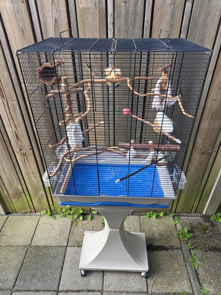 Mooie grote vogelkooi met toebehoren koopje, Dieren en Toebehoren, Vogels | Hokken en Kooien, Ophalen, Zo goed als nieuw, Metaal