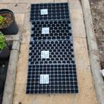 Stektrays zaaitrays 30 stuks voor 10 euro ALLEEN AFHALEN, Ophalen