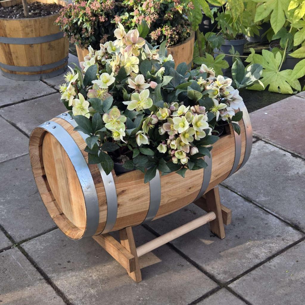 Halve wijnvaten, compleet voorzien van planten geplaatst, Tuin en Terras, Bloembakken en Plantenbakken, Nieuw, Hout, Ophalen of Verzenden