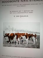 Gevraagd roodbont MRIJ stierenboek uit 1939, Ophalen of Verzenden