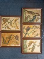 5 lijsten met reliëf vogels reiger toekan, Ophalen of Verzenden