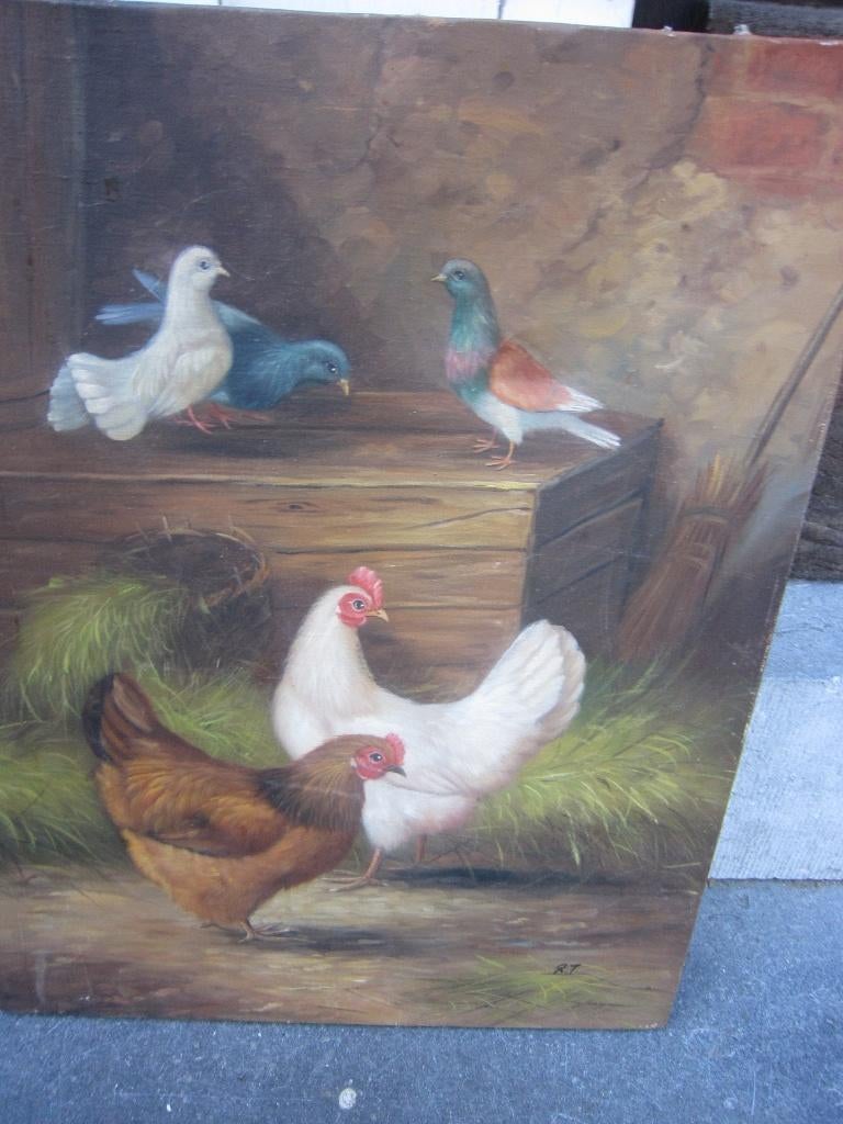 Leuk los schildersdoek Kippen en duiven Zelf inlijsten, Ophalen of Verzenden