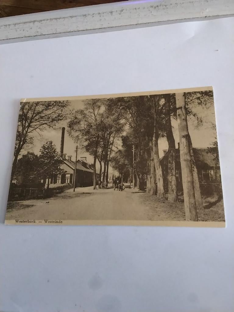 WESTERBORK. -  WESTEINDE.  1986, Ophalen of Verzenden, 1980 tot heden