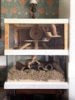 2-delig hamsterhok: extra groot speelparadijs, Ophalen, Zo goed als nieuw, 90 cm of meer, 75 tot 110 cm