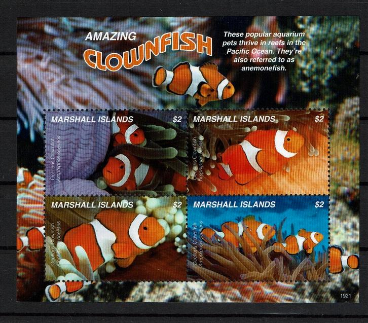 marshall is pf blok vissen zeeleven koraal  fishes coral 2, Postzegels en Munten, Postzegels | Thematische zegels, Postfris, Dier of Natuur