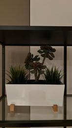 Witte bak met kunst plantjes, Ophalen of Verzenden, Zo goed als nieuw