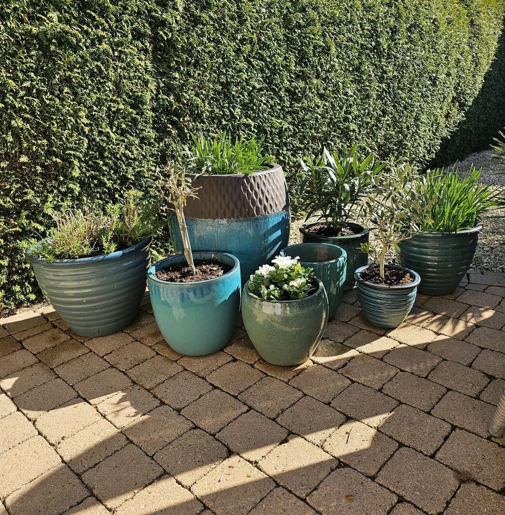 Keramische potten, Tuin en Terras, Ophalen, Overige soorten, Halfschaduw