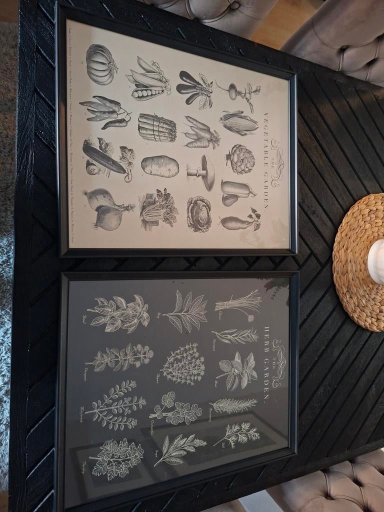 Lijsten met botanische prints (set van 2), Huis en Inrichting, Woonaccessoires | Lijsten, 50 tot 75 cm, Nieuw, Ophalen of Verzenden