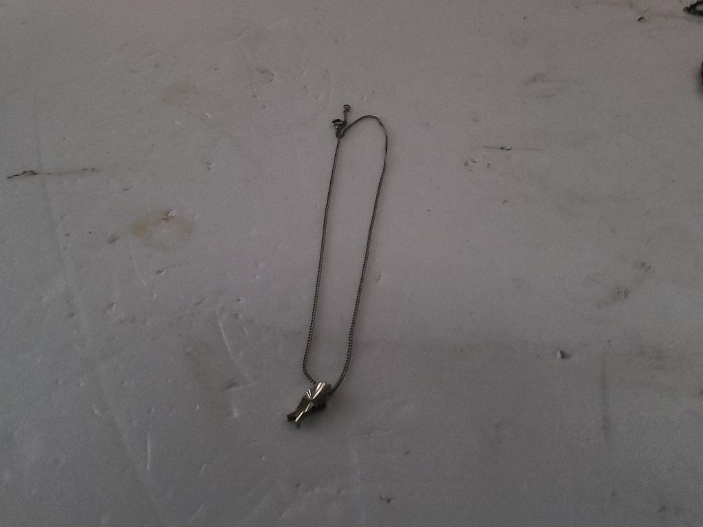 ketting met hanger, Ophalen of Verzenden, Zo goed als nieuw, Zilver, Overige materialen