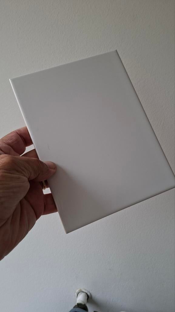 Wandtegel, Ophalen of Verzenden, Nieuw, Overige typen