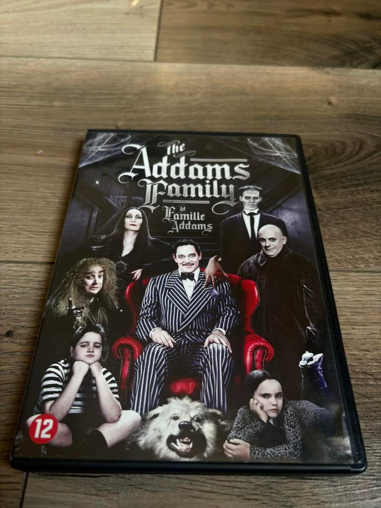 The Addams Family, Alle leeftijden, Ophalen of Verzenden, Zo goed als nieuw, Actiekomedie
