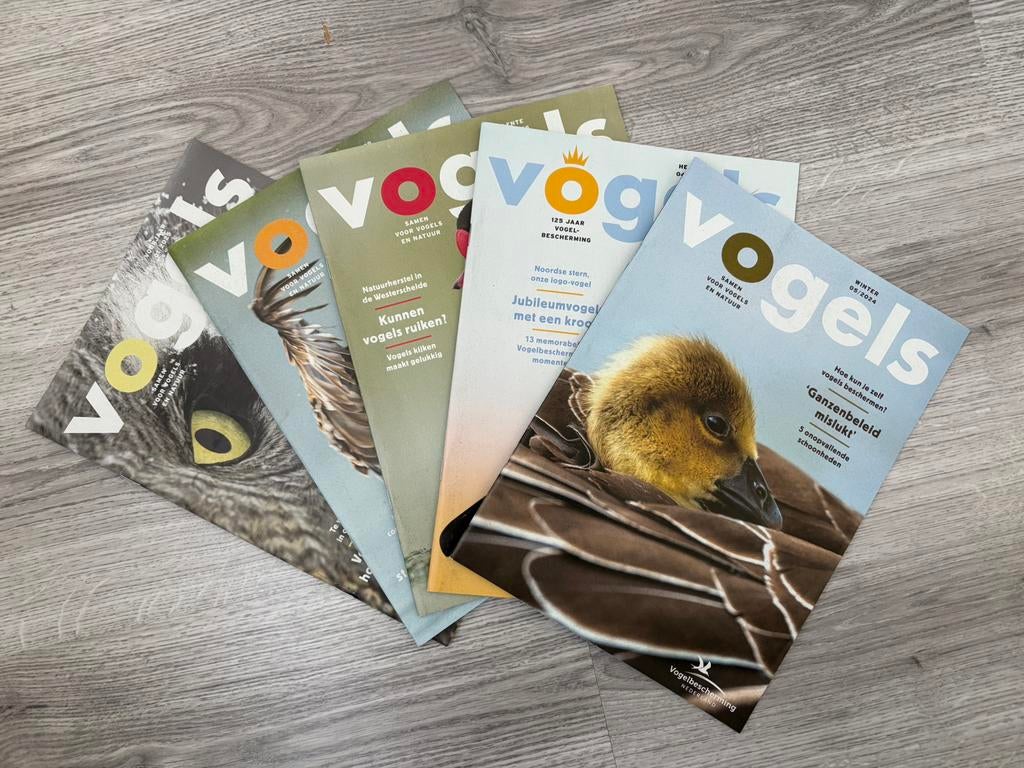 Vogelbescherming blad “Vogels” van 2025, Ophalen of Verzenden, Zo goed als nieuw, Vogels