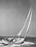 Model zeil kajuit jacht LeComte Ocean Racer 52 Handgemaakt, Ophalen, Gebruikt, Groter dan 1:32, Overige merken