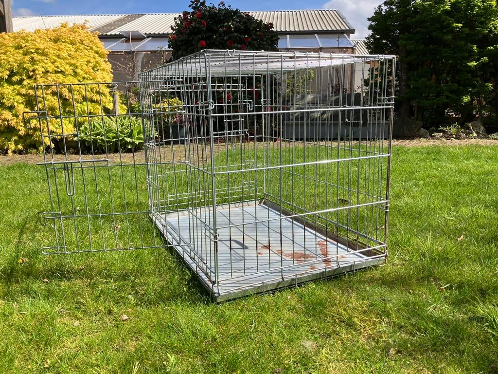 Honden-bench, Dieren en Toebehoren, Hondenhokken, Ophalen, Gebruikt, 100 cm of meer, Hondenhok