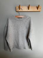 Main Story trui maat 104, Ophalen of Verzenden, Zo goed als nieuw, Jongen of Meisje, Trui of Vest