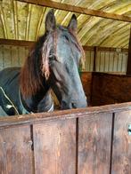 Stalling, Dieren en Toebehoren, Stalling