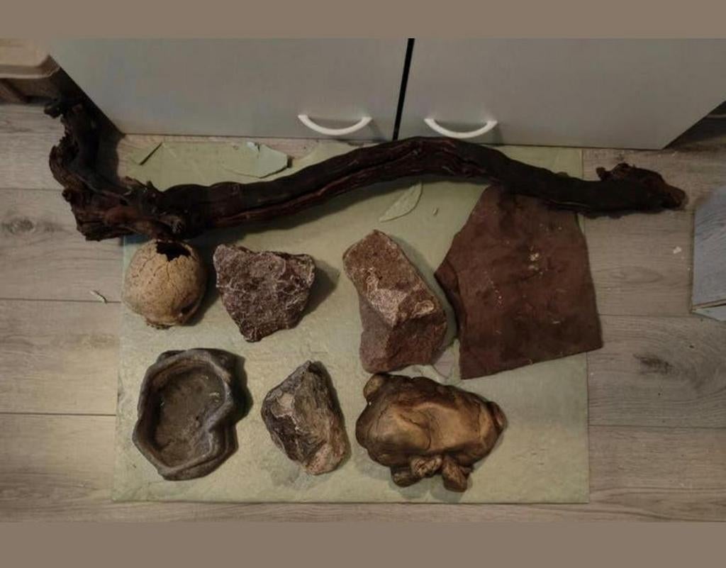 Terraruim assortiment, Verzamelen, Dierenverzamelingen, Ophalen of Verzenden, Zo goed als nieuw, Reptiel of Amfibie, Overige typen