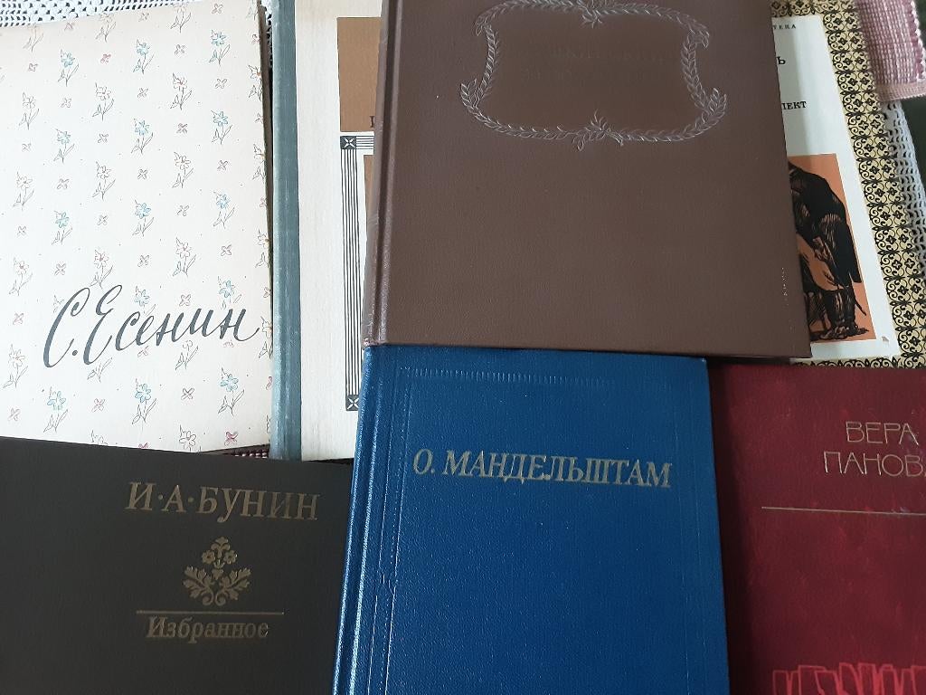 Russische literatuur, Europa overig, Diverse auteurs, Ophalen, Gelezen
