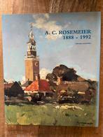 A.C. Rosemeier 1888-1992 - Willem Laanstra Kunstboek, Ophalen of Verzenden, Zo goed als nieuw