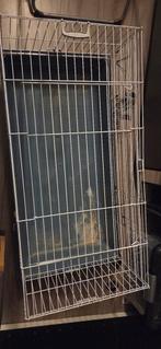 Konijnen/cavia kooi, Dieren en Toebehoren, Ophalen, Zo goed als nieuw, Metaal, Vogelkooi