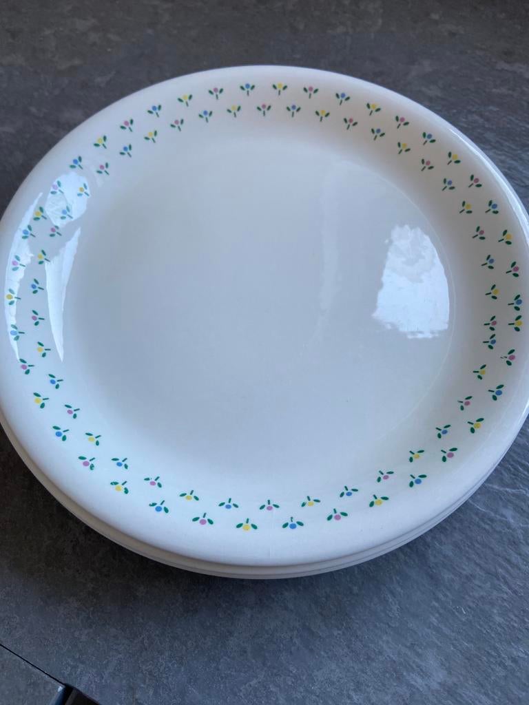 5 dinerborden, Ophalen of Verzenden, Zo goed als nieuw, Overige stijlen, Bord(en)