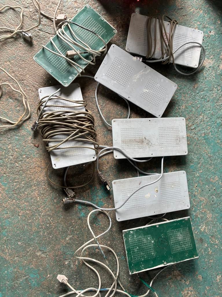 Postduiven unikon antennes, Meerdere dieren, Postduif