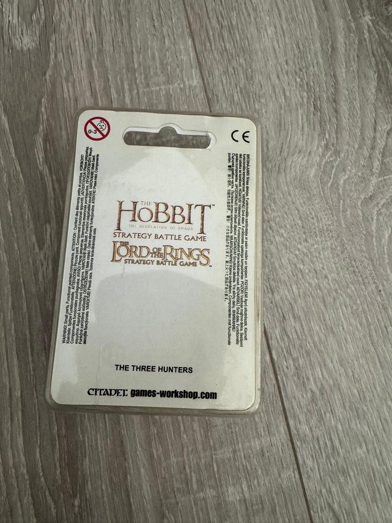Lord of the Rings The Three Hunters (dicht), Hobby en Vrije tijd, Wargaming, Ophalen of Verzenden, Nieuw