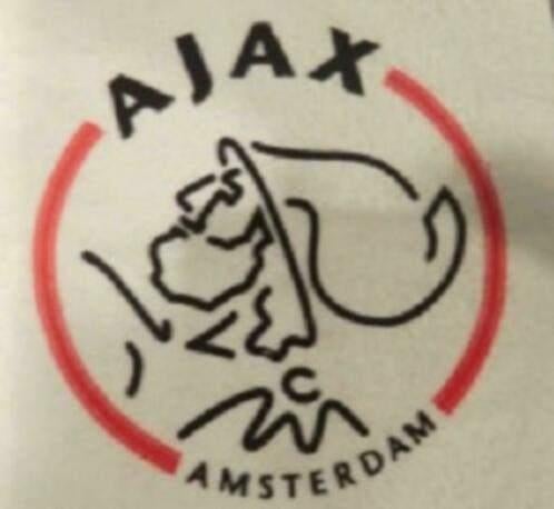 Ajax logo, Sport en Fitness, Voetbal, Zo goed als nieuw, Clubaccessoires, Maat XS of kleiner, Ophalen of Verzenden