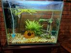 Aquarium super fish Home 40, Ophalen, Zo goed als nieuw, Gevuld zoetwateraquarium