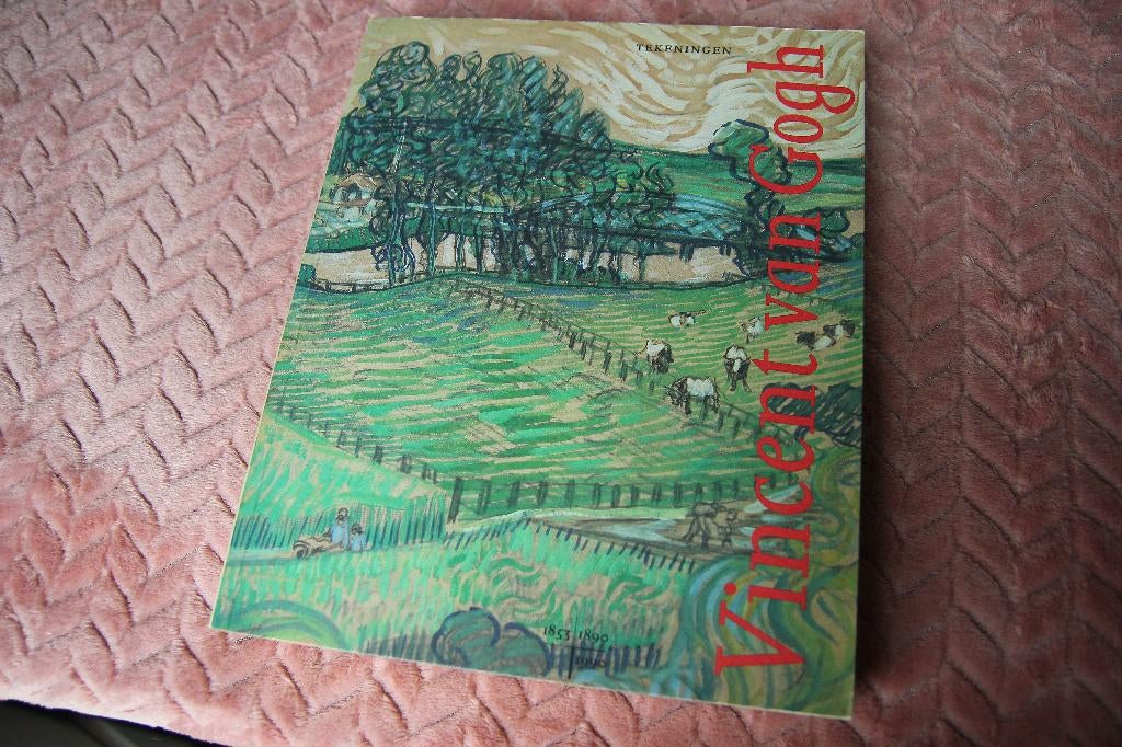 tekeningen Vincent van Gogh, Ophalen of Verzenden, Gelezen, Schilder- en Tekenkunst