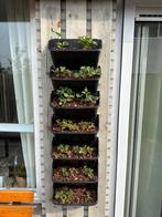 Verticale plantenbakken voor aardbeien of kruiden, Tuin en Terras, Kunststof, Minder dan 30 cm, Minder dan 60 cm, Nieuw