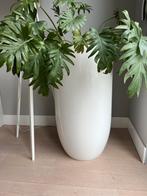 Witte hoogglans bloempot, Tuin en Terras, Bloempotten, Ophalen, Overige materialen, Gebruikt, 40 cm of meer