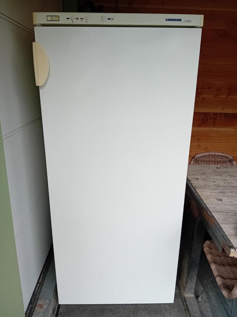 Diepvries XL, Witgoed en Apparatuur, Vriezers en Diepvrieskisten, Ophalen, 160 cm of meer