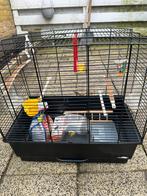 Vogels kooien, Ophalen, Vogelkooi