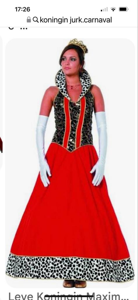 Grote collectie carnavalskleding: Koningin, Piraat, Holbewon, Carnaval, Maat 46/48 (XL) of groter, Ophalen of Verzenden, Kleding